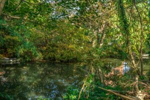 Photo 16- click for photo gallery